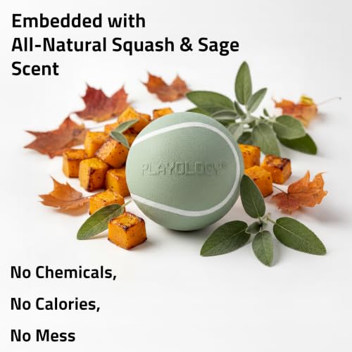 Playology Squeaky Chew Ball Dog Toy - Small, Squash Scent, 3-Pack - size: Small (VALUE 3-Pack), style: Butternut Squash & Sage