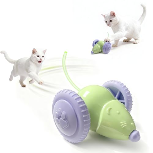 Interactive Cat Toys for Indoor Cats,Automatic Moving Kitten Toys,Cat Balls - color: Green