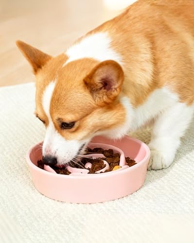 TRUVIC Ceramic Slow Feeder Dog Bowls, 1.5 Cup Puzzle Slow Feeder Bowls for Fast Eaters, Ceramic Dog Food Dish no Black Chin, Puzzle Bowl for Medium Dogs, Pink - color: 02-Pink, size: M-1.5 Cups