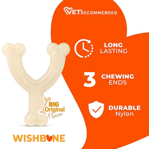 Nylabone Power Chew Wishbone Dog Chew Toy, Original Flavor, Medium - size: Medium (1 Count)