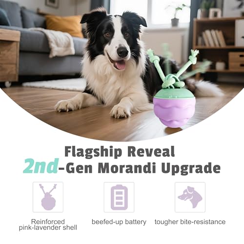 Interactive Dog Toys [2025 Upgrade] – Smart Dog Ball, Automatic Motion-Activated Rolling, Random Path, Squeaky Sounds, USB-C Rechargeable LED Light, Indoor/Outdoor Use