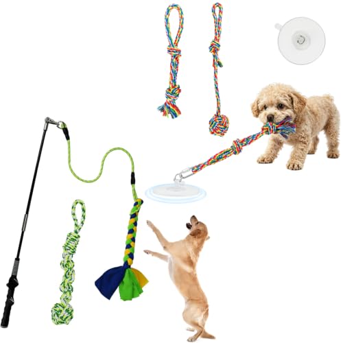 Flirt Pole for Dogs & Suction Cup Dog Tug Toy Heavy Duty, Interactive Chase & Tug of War Teaser Wand with Detachable Replacement Knot Ball and Rope Chewing Toys Flirt Stick