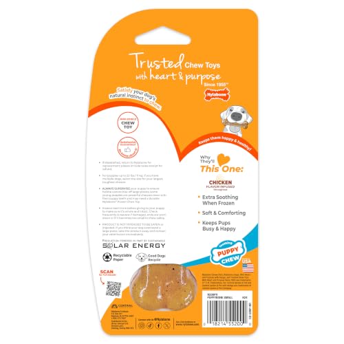Nylabone Puppy Chew Teething Bone Dog Chew Toy, Chicken Flavor, Small - color: Teething Bone, size: Small
