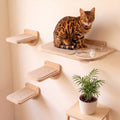 INICIO Cat Shelves - Feeding Shelf with 3 Cat Wall Steps - Natural Wood - color: Wood Brown