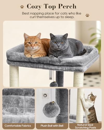 SYANDLVY Small Cat Tree with 2-Tier Perch Platforms, Scratching Post Tower - color: Grey