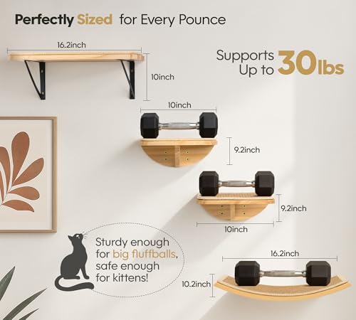 Cat Wall Shelves, Cat Window Perches with Curved Bed & 2 Sisal Mat Steps - color: Combo B (1 Sisal-Mat Bed, 2 Steps)