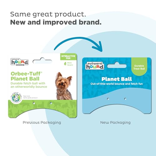 Outward Hound by Planet Dog Orbee-Tuff Planet Ball Blue/Green Treat-Dispensing Dog Toy, Small