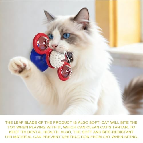 Interactive Cat Toys & Treat Dispenser with Catnip Ball (Aqua)