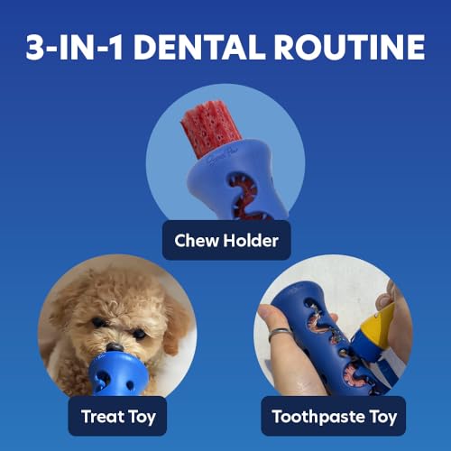 SuperPaw Dog Dental Chews (Banana, S) & Chew Holder (S) Bundle Kit - size: Small Toy & Digestion Support Chew Bundle