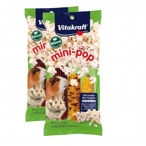 Vitakraft Mini Pops Treat for Small Animals - 100% Real Corn Cob - Supports Healthy Teeth - 6 oz (Pack of 2) - size: 6 Ounce (Pack of 2)
