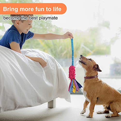 wodoca Dog Tug Toy - Aggressive Chewer Rope Toy with Strong Squeak - color: Red Chenille, Blue Webbing