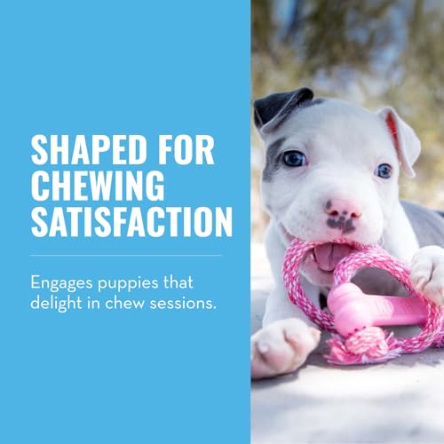 KONG Puppy Goodie Bone with Rope, Natural Rubber, for XS Puppies, Pink - color: Pink