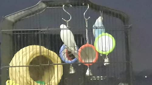 Litewoo 3-Piece Bird Mirror Toy with Bell for Parrot Cage, 3 Round - color: B - 3* Round