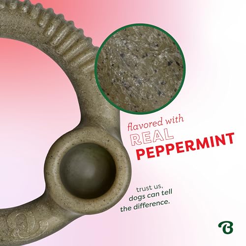 Benebone Ring Dog Chew Toy for Aggressive Chewers, Peppermint, Medium - size: Medium