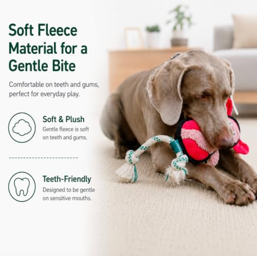 Green Sheep Squeaky Plush Dog Toy, Interactive Rope Toy with Recycled Materials for Tug, Fetch and Play, Medium to Large Dogs, Chew Toy, Pig - color: Pig