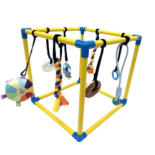 Puppy Play Gym with 8 Hanging Toys, Small Dogs Indoor Enrichment Jungle Gym