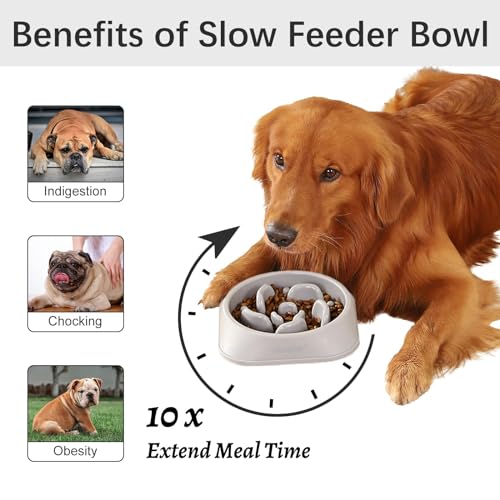 MateeyLife 1-Pack Slow Feeder Dog Bowls, 2 Cups, Dog Puzzle Feeder Bowl - color: I-Gray, size: Medium