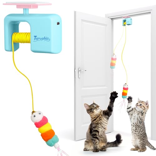 Interactive Cat Toy for Indoor Cat, Automatic Door Hanging Cat Toy with Detachable Design, Kitten Toys for Indoor Cats Self Play, 3.27 * 1.69 * 2.76Inch (Sky Blue)
