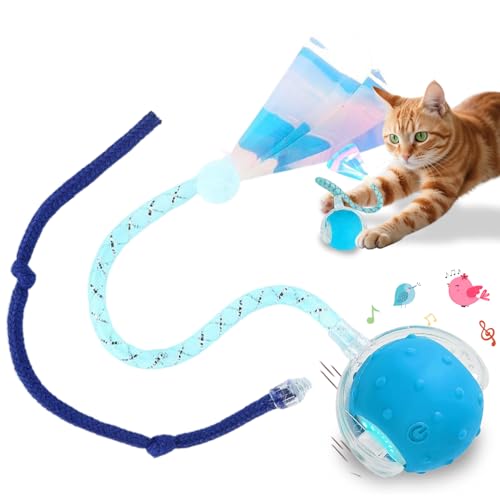 Interactive Cat Toys Smart Ball for Cats & Dogs! Now with 2 Rapid Tails. Features: 360°Auto-Rolling, Motion Activation& Bird Sounds. Perfect for Indoor Pet Exercise & Fun. (Blue) - color: Blue1