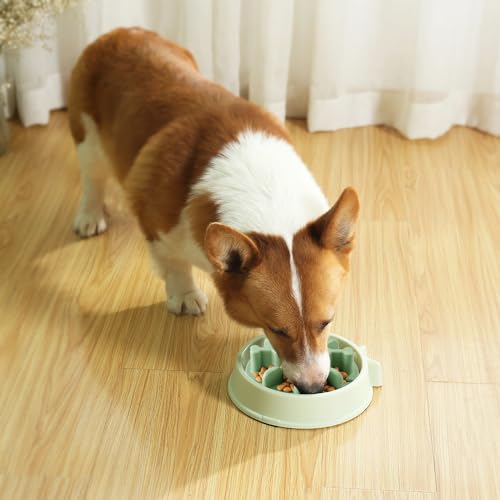 Soft Silicone Anti-Choking Puzzle Bowl Inserts, Anti-Slip to Slow Down Eating, Fits Regular Elevated Dog Bowls - color: Green, size: Large