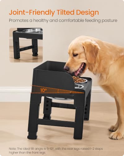 Feandrea Dog Bowls Elevated, Adjustable Height, Tilted Design - color: Ink Black, style: 1 Stainless Slow Bowl + 2 Stainless Basic Bowl