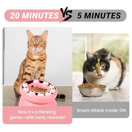 Cat Puzzle Feeder Slow Food Bowl – Interactive Slow Feeder Bowl for Indoor Cats, Treat Dispensing Enrichment Toy,Mental Stimulation and Boredom Relief (Pink) - color: Pink