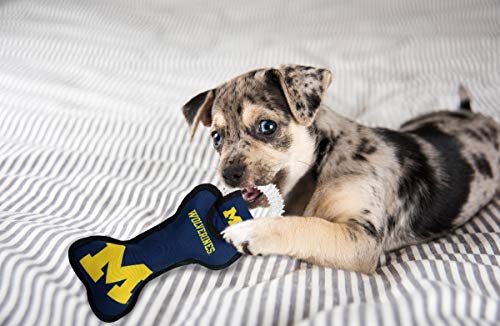 Pets First NCAA Michigan Wolverines Dental Dog TUG Toy with Squeaker. Tough PET Toy for Healthy Fun, Teething & Cleaning Pets Teeth & Gum - color: Michigan Wolverines