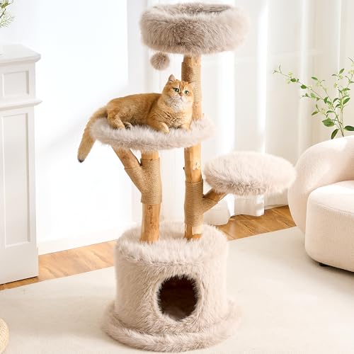 HITTITE Natural Wood Cat Tree Tower with Scratching Post, 53.5 Inches Tall Modern Cat Tower with Cozy Bed and Condo, Luxury Real Branch Cat Tree for Indoor Cats Large Adult, Khaki. - color: 53"-Khaki