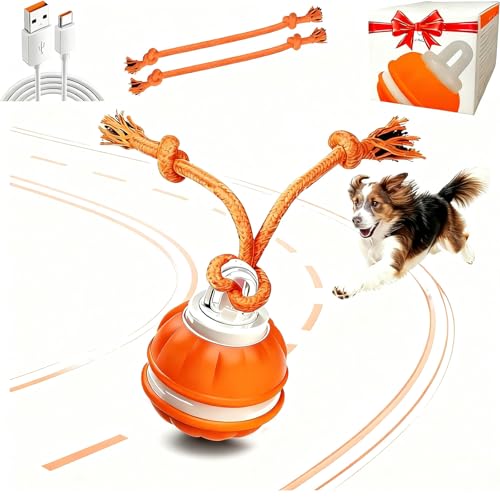 Interactive Dog Ball Toy for Small Dogs, Motion Activated Rolling Ball