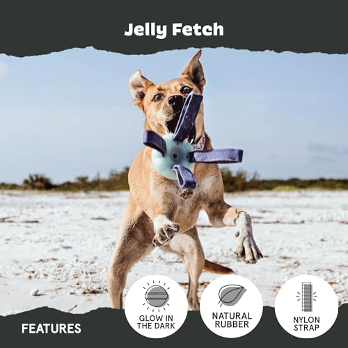 BarkBox Jelly Fetch Dog Toy - for Medium Dogs - color: Jelly Fetch-Medium