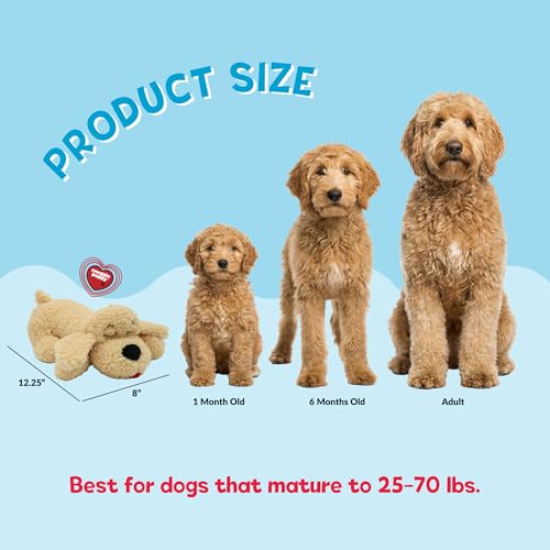 Snuggle Puppy Heartbeat Toy, Calming Comfort, Breed Buddies Goldendoodle - color: Doodle