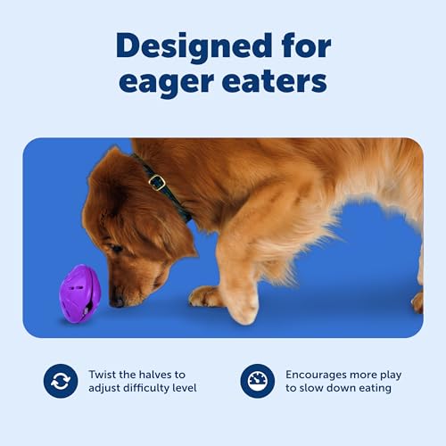 PetSafe Busy Buddy Twist 'n Treat Dispensing Dog Toy, Large - size: Large (Pack of 1)