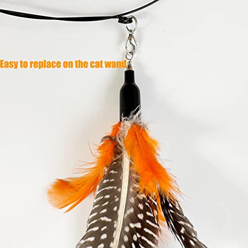 Cat Feather Toys Refill, 6 Pieces Cat Wand Attachments Da Bird Feathers Toy for Indoor Cats - color: 6 PCS Cat Toy Feather Refills