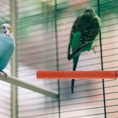 Mipcase Bird Climbing Stand Parrot Grind Stick Beak Grinder for Birds Standing Perch Toy for Cockatiels Parakeets Small Birds 7.87 X 0.78 X 0.78 in Random Color