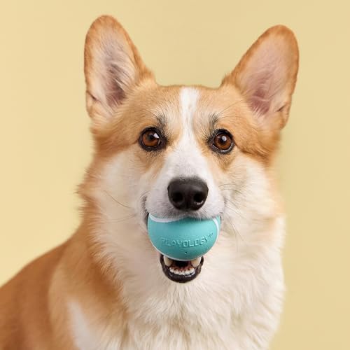 Playology Squeaky Chew Ball Dog Toy - Medium, Peanut Butter Scent - size: Medium, style: Peanut Butter