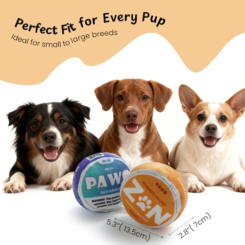 Nocciola PAWO Funny Cool Dog Toy with Squeaker & Crinkle, Hilarious Blue Soft Squeaky Plush Stuffed Cute Puppy Accessories for Small Medium Large Breed, Party Birthday - style: ZN Dog Toy