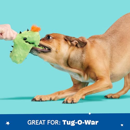 BarkBox 2 in 1 Interactive Plush Dog Toy - Rip and Reveal Toy for Dogs and Puppies - Stimulating Squeaky Pet Toys | Prickly Pete (Small) - color: Prickly Pete