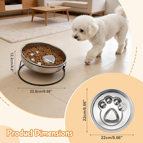 Elevated Dog Bowl Stand, Slow Feeder Dog Bowl, Dog Paw Pattern