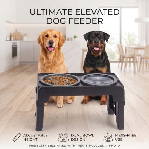 LALOBLUE Collapsible Dog Bowls Raised Elevated Adjust Stand