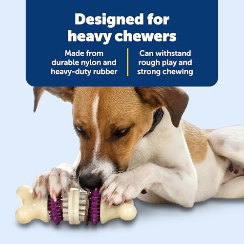 PetSafe Busy Buddy Bristle Bone Dog Treat Holding Chew Toy, Medium - size: Medium, style: Bristle Bone