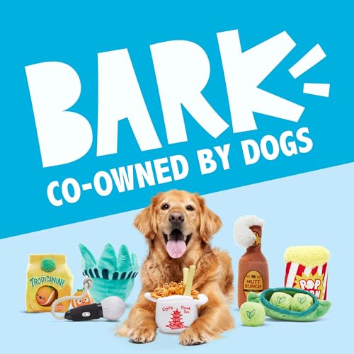 BarkBox Play Hatch Rubber Tennis Balls - for Dogs - color: Play Hatch