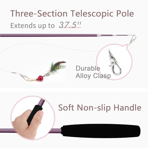 SONGWAY Cat Teaser Wand Toy - 10 Pieces Insect Cat Feather Toy Set with Retractable Wand and Feather Refills with Bell, Interactive Toys for Indoor Cats - size: Wand Cat Feather Toys 1 Piece