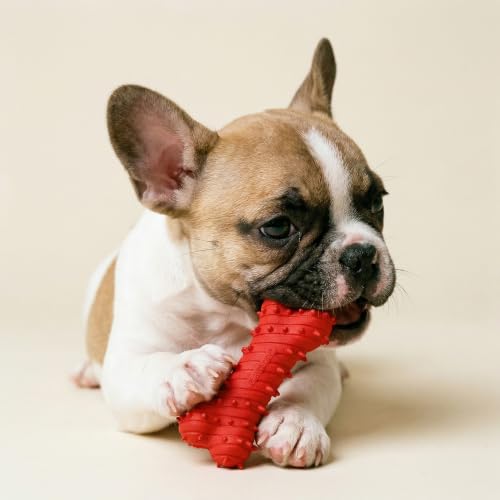 Playology Puppy Teething Bone Dog Chew Toy - Medium, Beef Scent - size: Medium, style: Beef