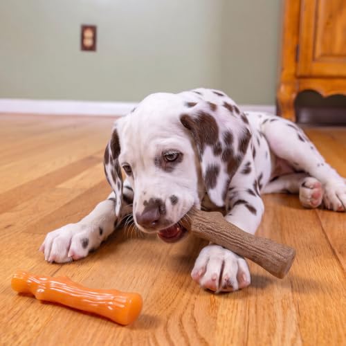Dogwood Puppy Dog Chew Toys, USA Made Materials, 2-Pack, 5.3"