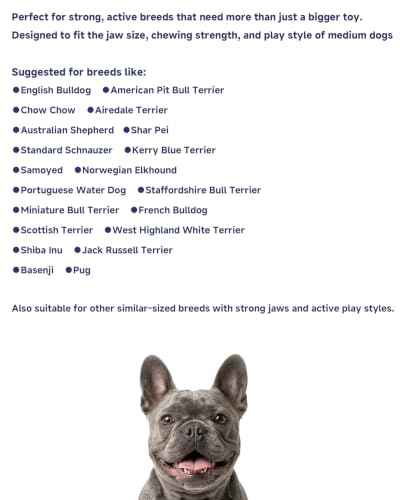 Stuffable Enrichment Dog Toy – Extra Firm Natural Rubber Treat Dispenser for Medium Dogs, Irregular Shape, Blue, Bully Stick Compatible - color: Blue-Extra Firm, size: Medium