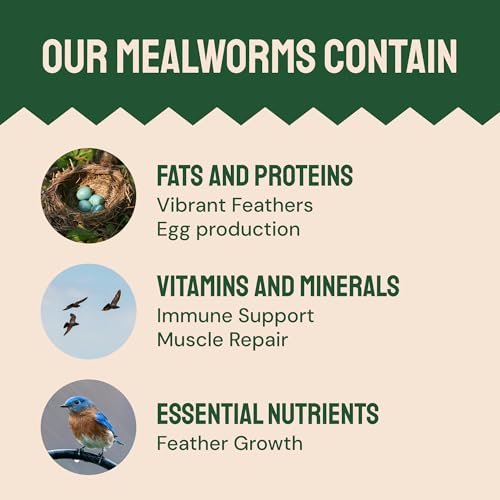 Hatortempt 2lb Dried Mealworms for Wild Birds & Chickens, Wild Bird Food - size: 2 Pound (Pack of 1)