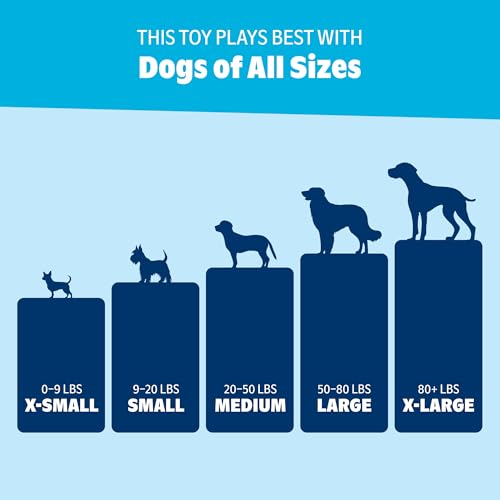BarkBox Play Hatch Rubber Tennis Balls - for Dogs - color: Play Hatch