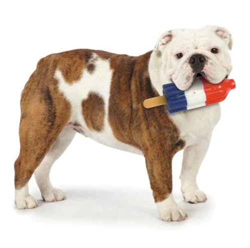 PUREPET Rocket POP Freezable Water Toys for Dogs Keep Your Pup Cool on Hot Humid Days (7.25 inch Large Rocket POP) - size: 7.25 inch Large Rocket POP