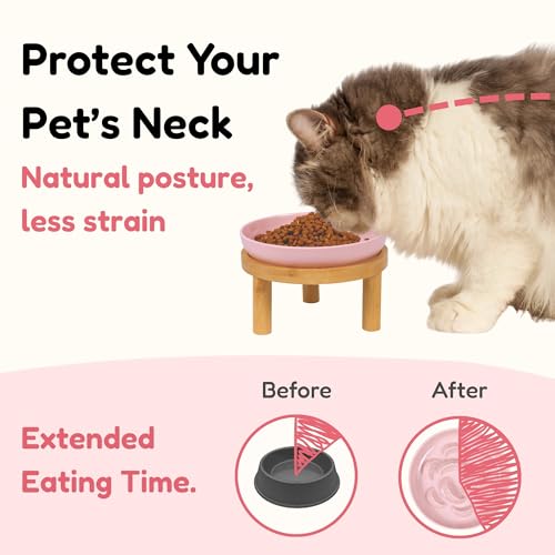 Slow Feeder Bowl, 6.3″ Elevated Cat Bowl with Stand, Melamine Wide Shallow Food Bowl, Whisker-Friendly Raised Plate, Wet Food Feeder for Slow Eating (Pink) - color: Pink, size: 6.3''W x 5''H