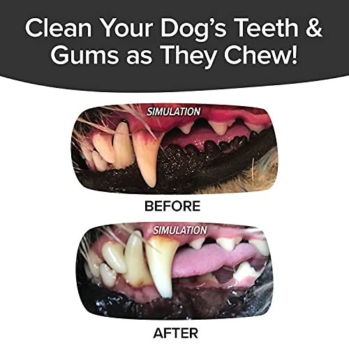 BulbHead BrushBone Doggy Toothbrush Chew Toy, Plaque & Tartar Remover - color: Brush Bone, size: 1 Count (Pack of 1)